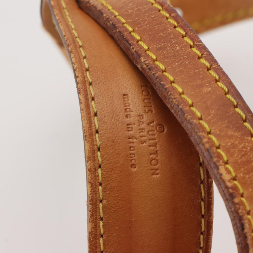 Louis Vuitton Amazone Crossbody Bag in Monogram Canvas